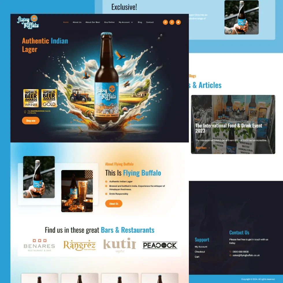 Flying Buffalo website design project